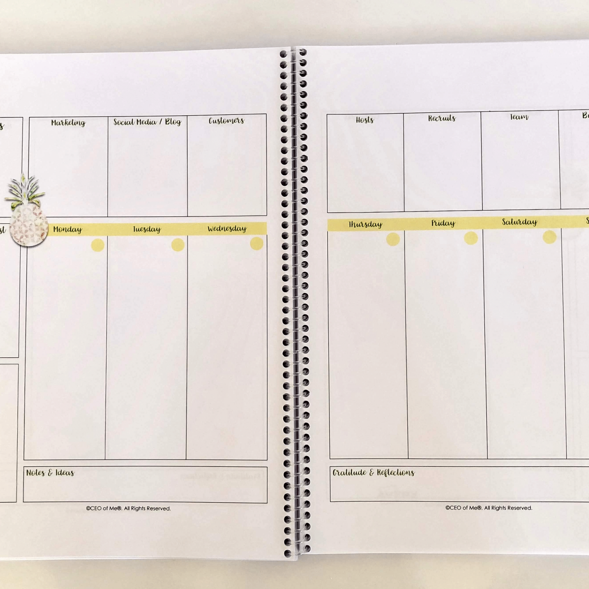 Weekly Planner for Direct Sellers